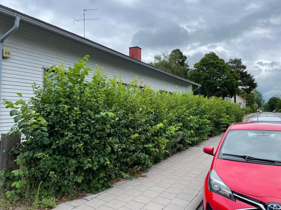 Ennen