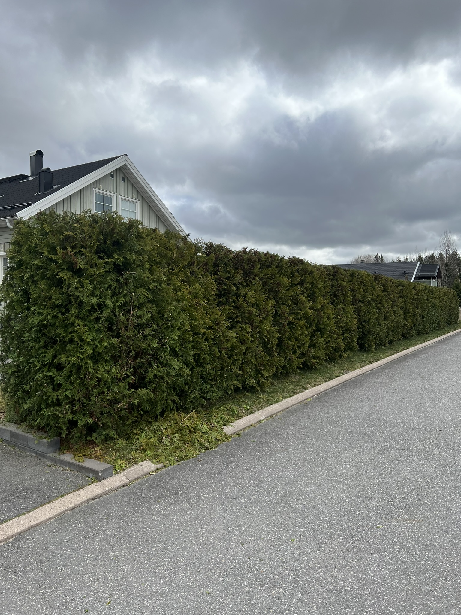 Puskien siistiminen